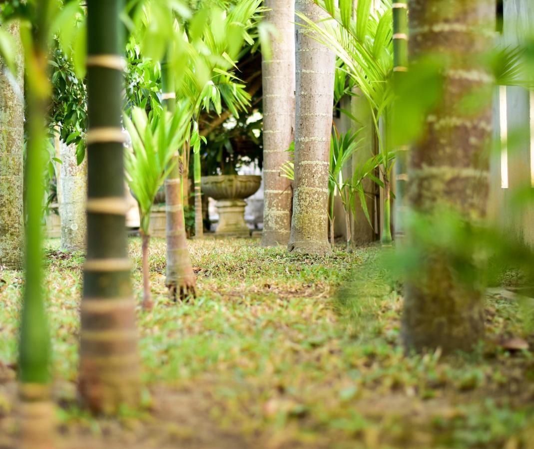 Chiang Mai Heritage House Ngoại thất bức ảnh